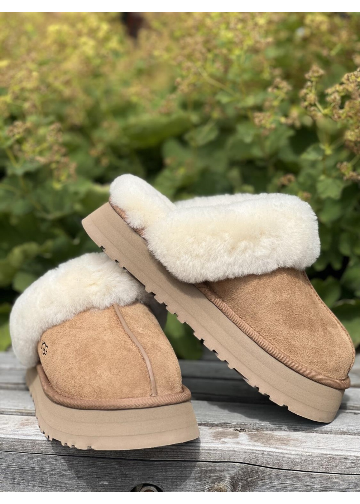 UGG Disquette chestnut