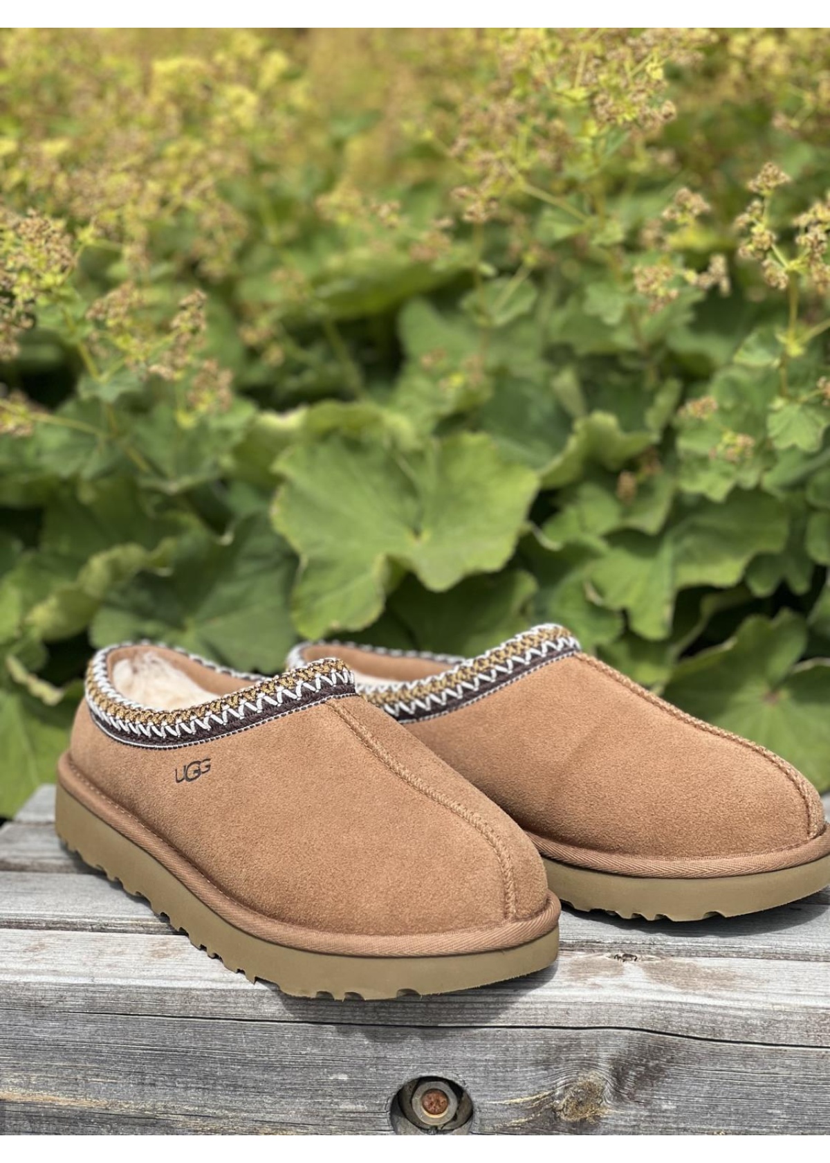 UGG Tasman chestnut