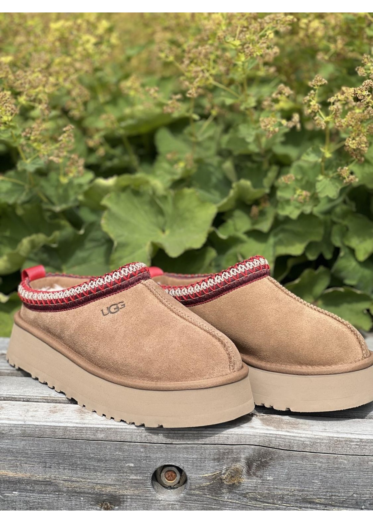 UGG Tazz chestnut