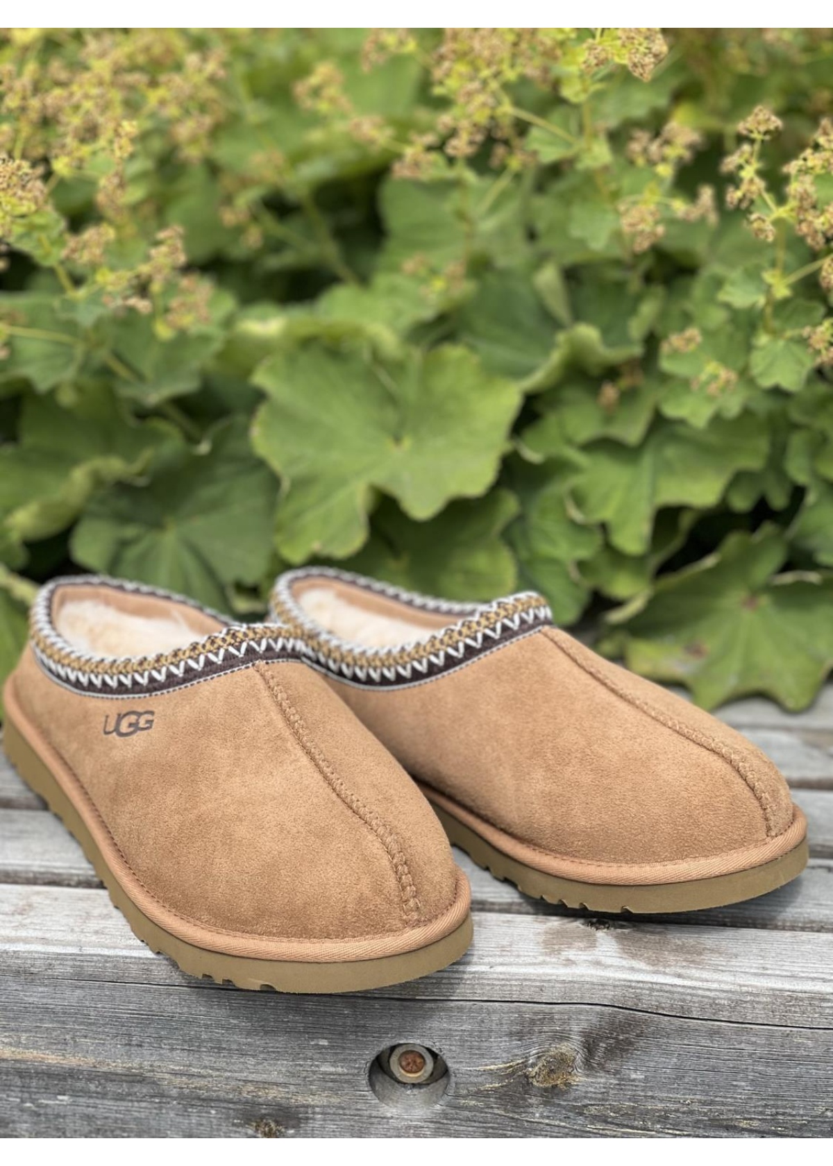 UGG Tasman chestnut HERRE