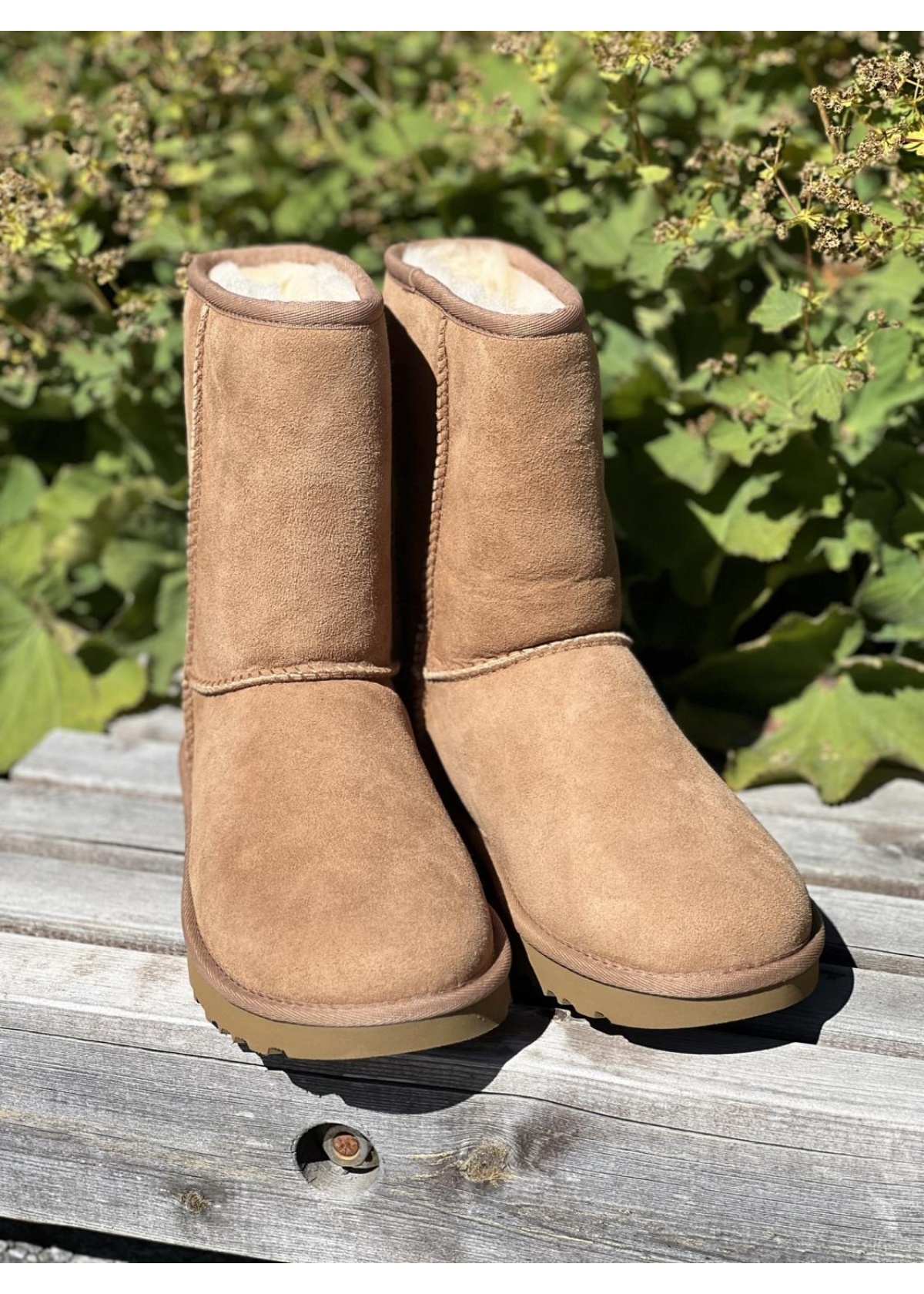 Ugg Classic Short II chestnut