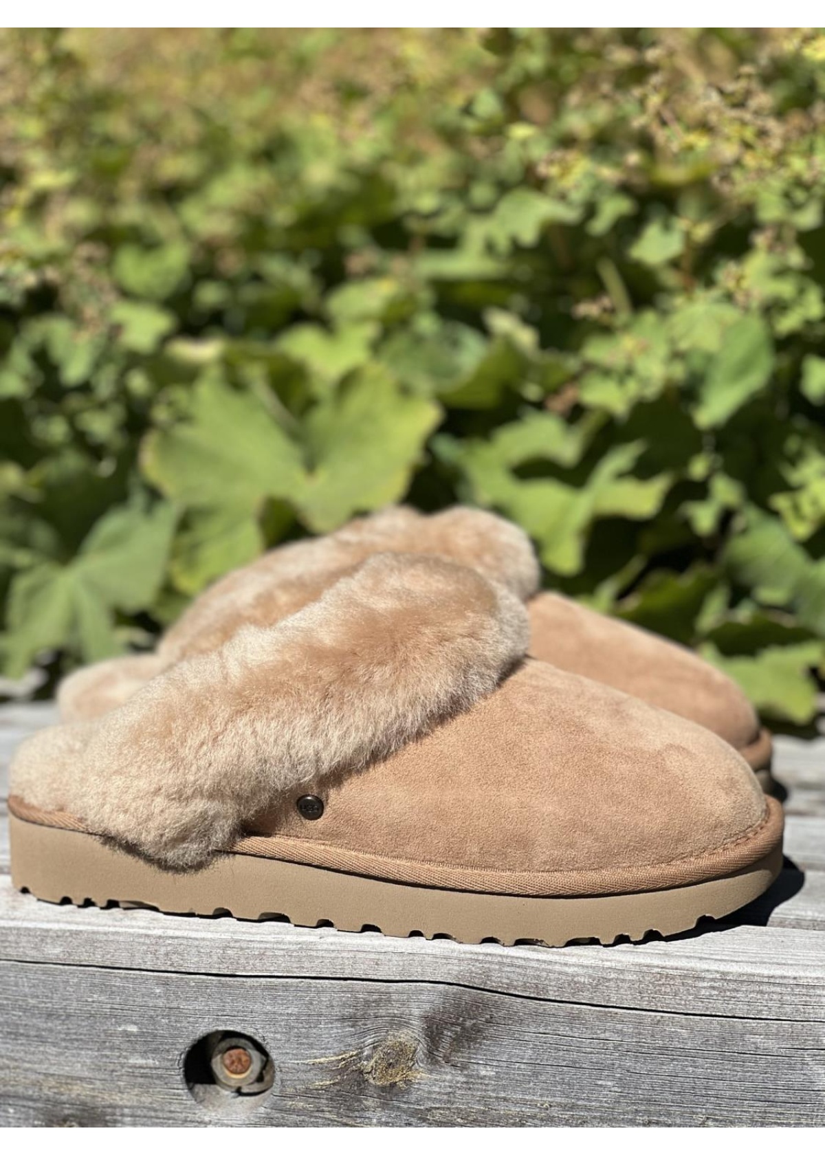 UGG Classic slipper II chestnut