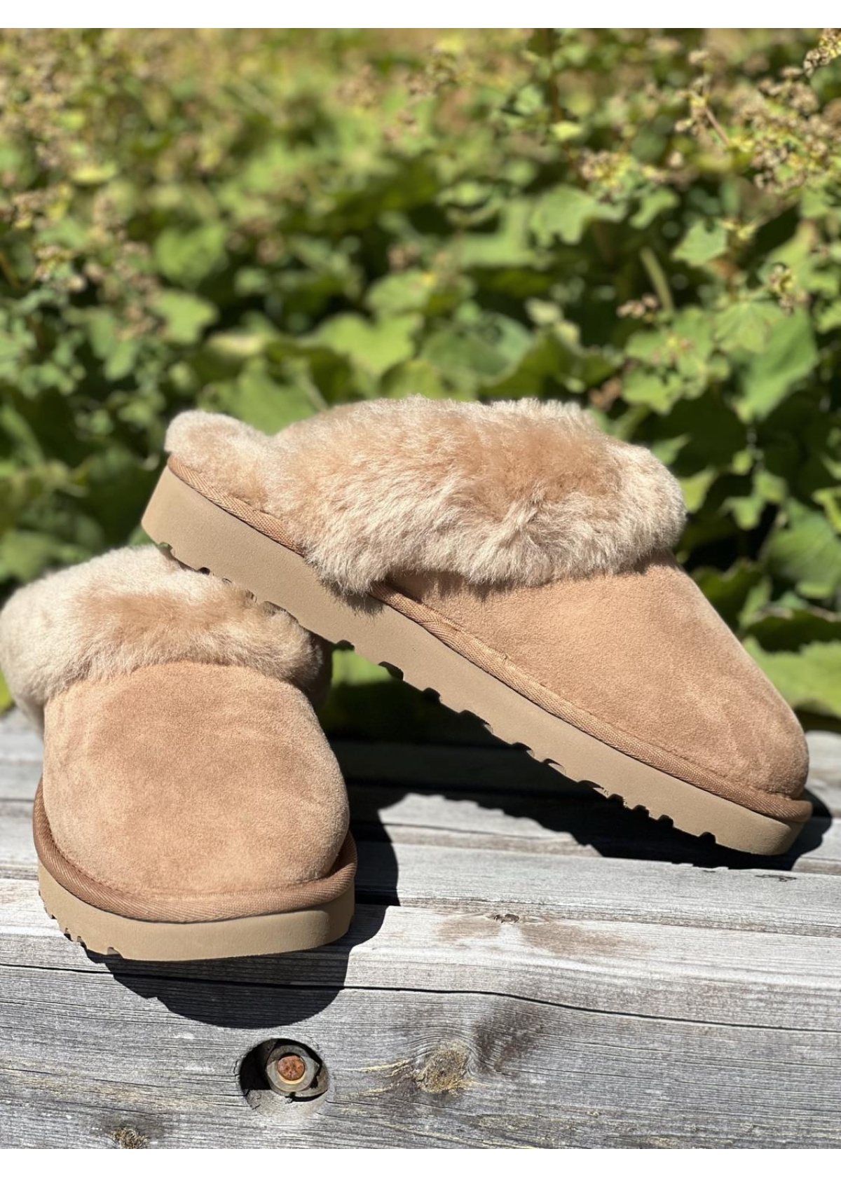 UGG Classic slipper II chestnut